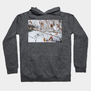 Ice Melts Hoodie